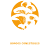 logo-rio-fungi